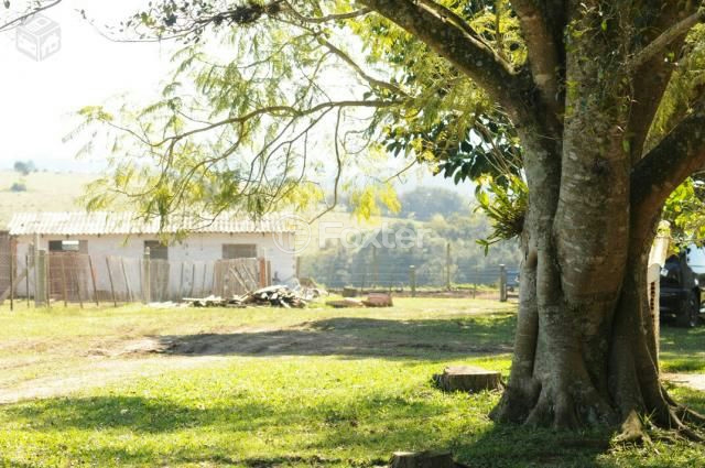 Sítio à venda com 3 quartos, 66000m² - Foto 6