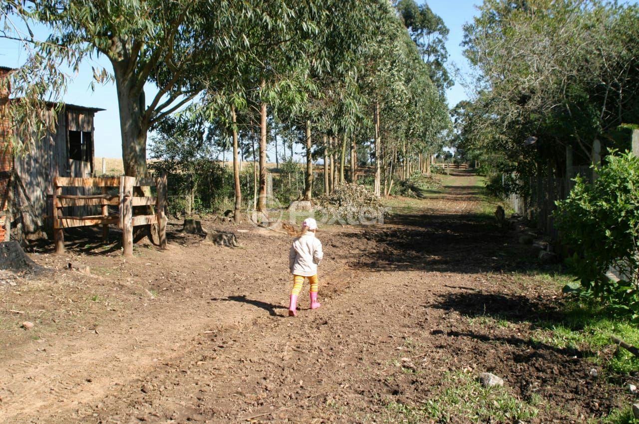 Sítio à venda com 3 quartos, 66000m² - Foto 26