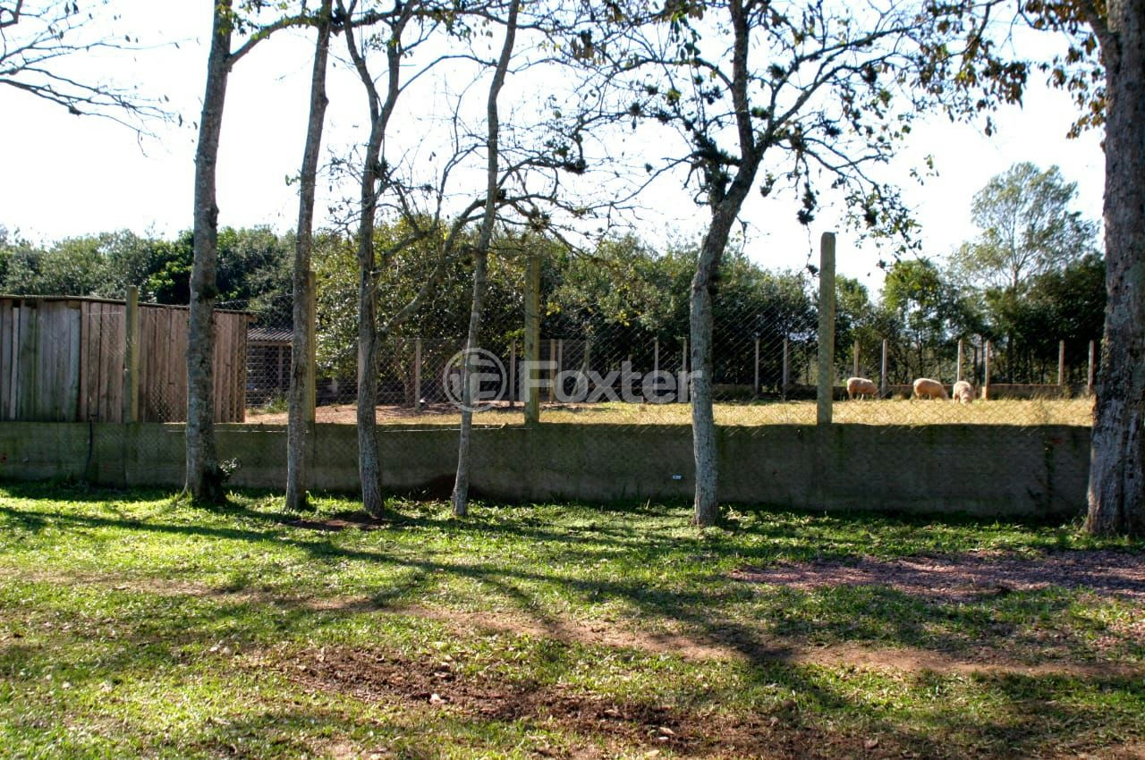 Sítio à venda com 3 quartos, 66000m² - Foto 33