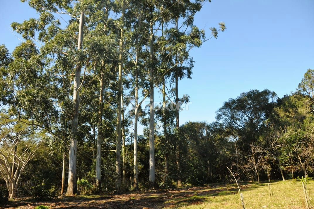 Sítio à venda com 3 quartos, 66000m² - Foto 35