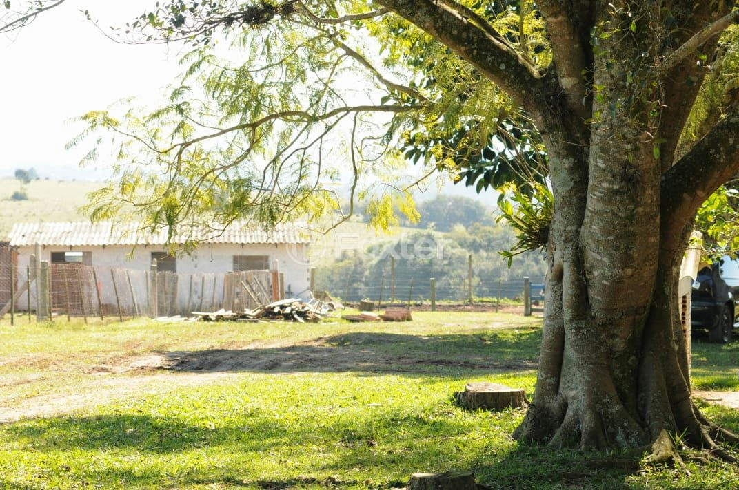 Sítio à venda com 3 quartos, 66000m² - Foto 25