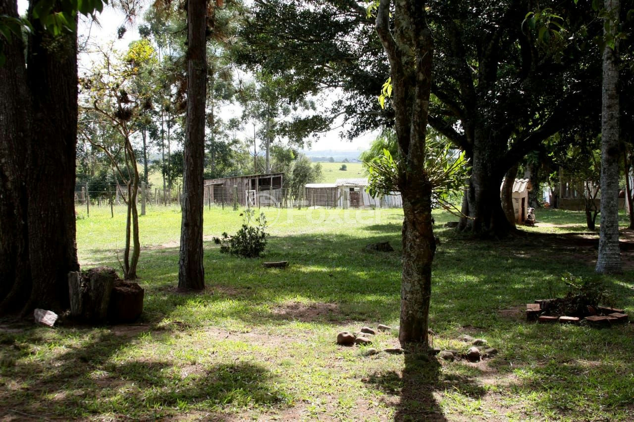 Sítio à venda com 3 quartos, 66000m² - Foto 45