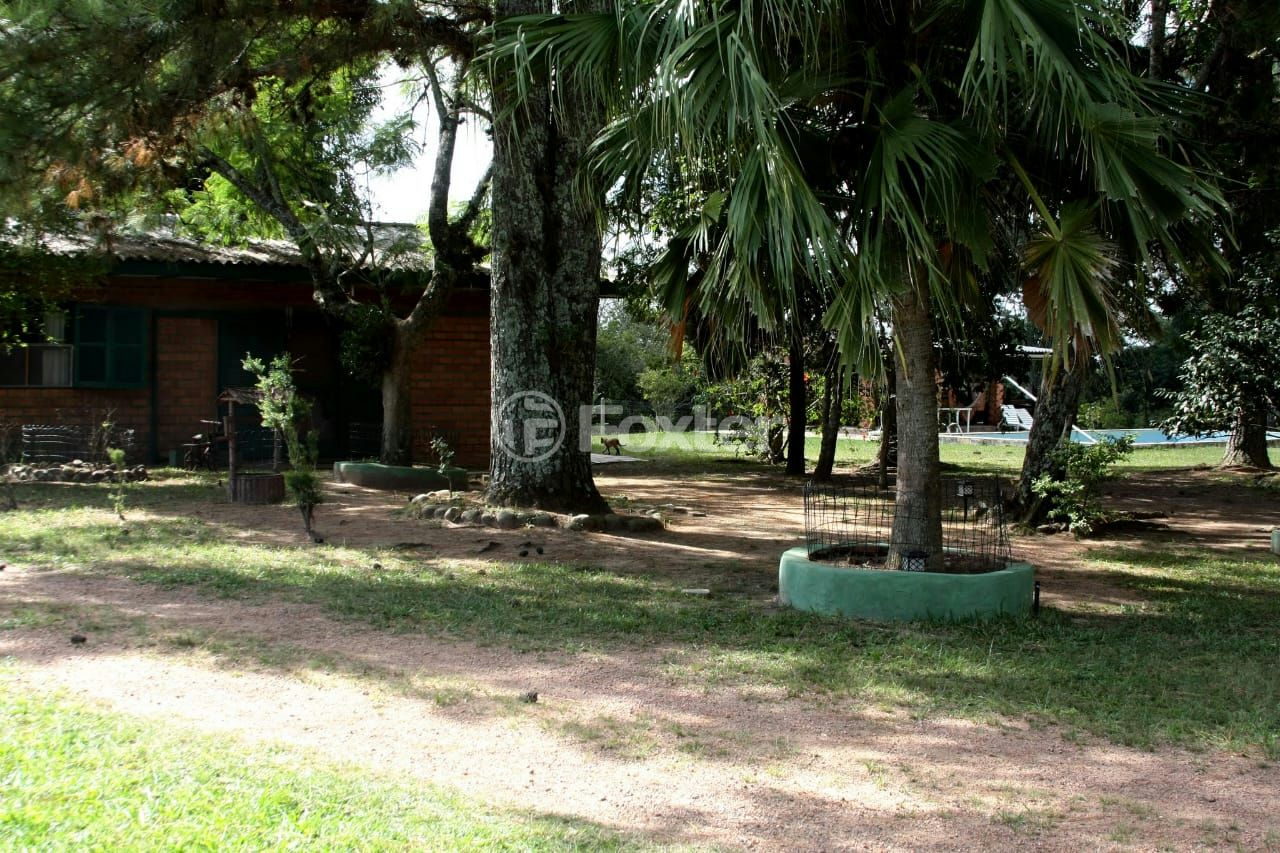 Sítio à venda com 3 quartos, 66000m² - Foto 39