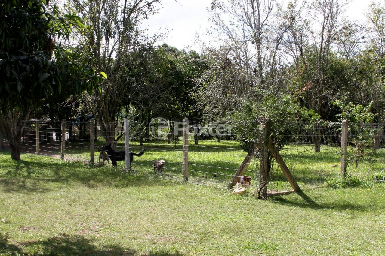 Sítio à venda com 3 quartos, 66000m² - Foto 31