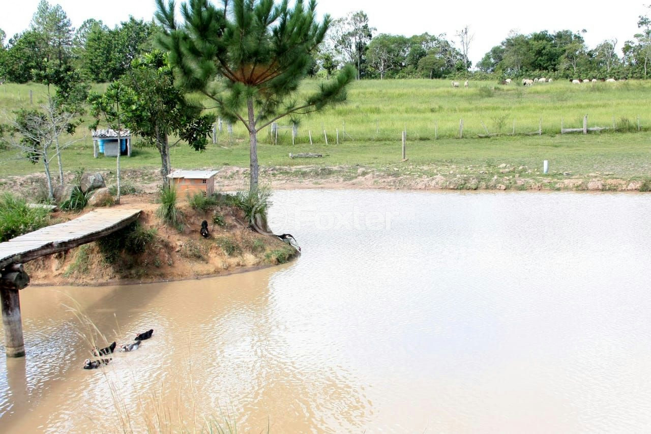Sítio à venda com 3 quartos, 66000m² - Foto 44