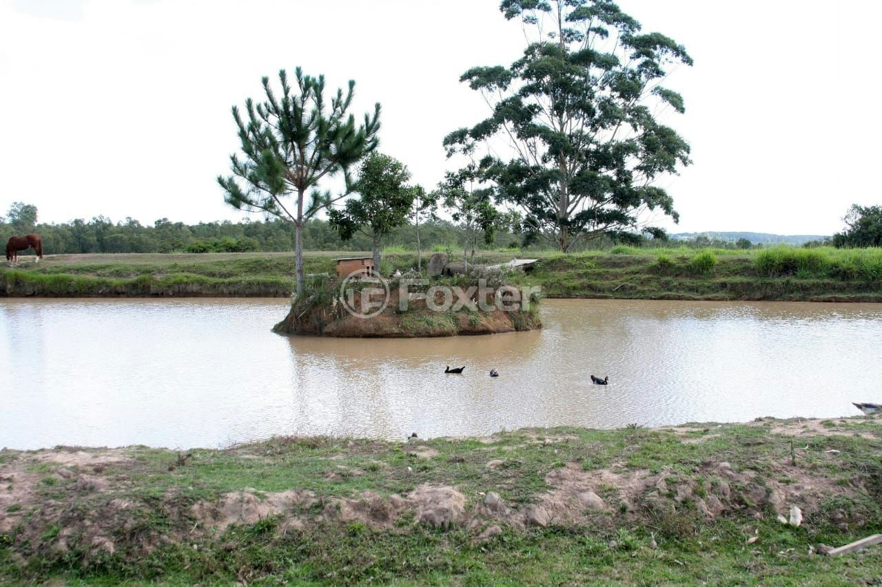 Sítio à venda com 3 quartos, 66000m² - Foto 40