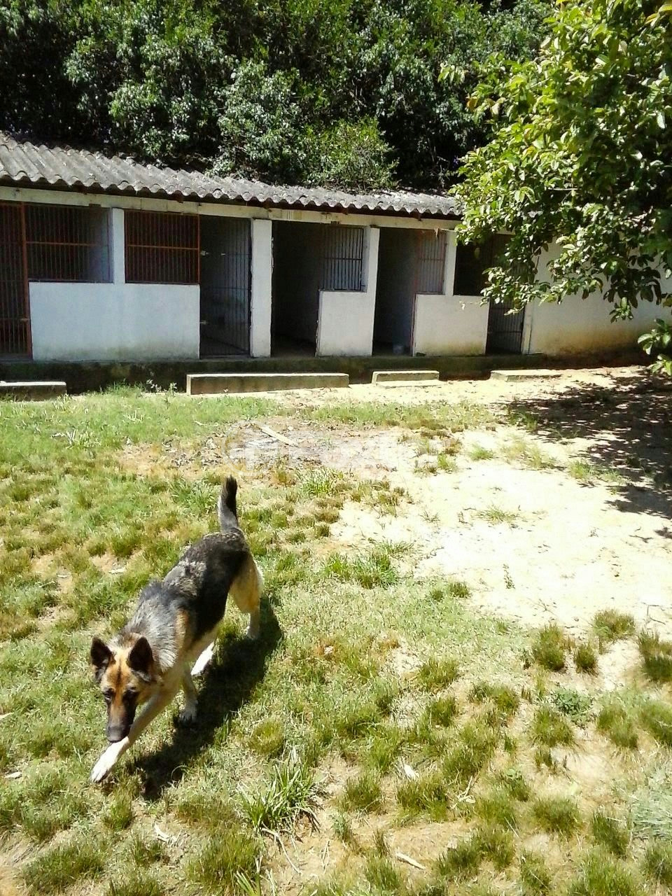 Sítio à venda com 3 quartos, 66000m² - Foto 36