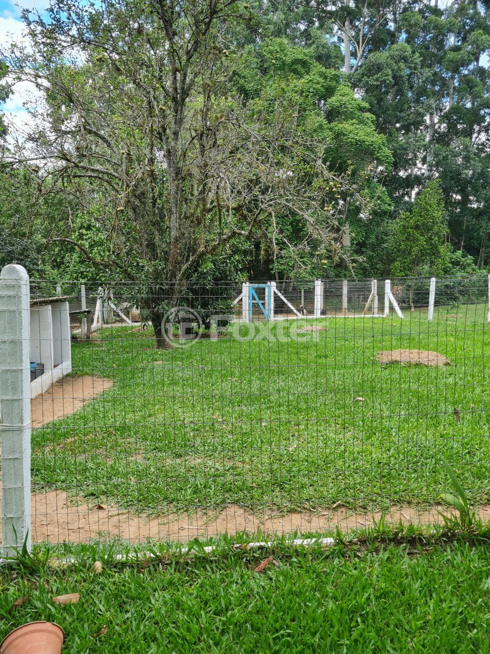 Sítio à venda com 3 quartos, 66000m² - Foto 32
