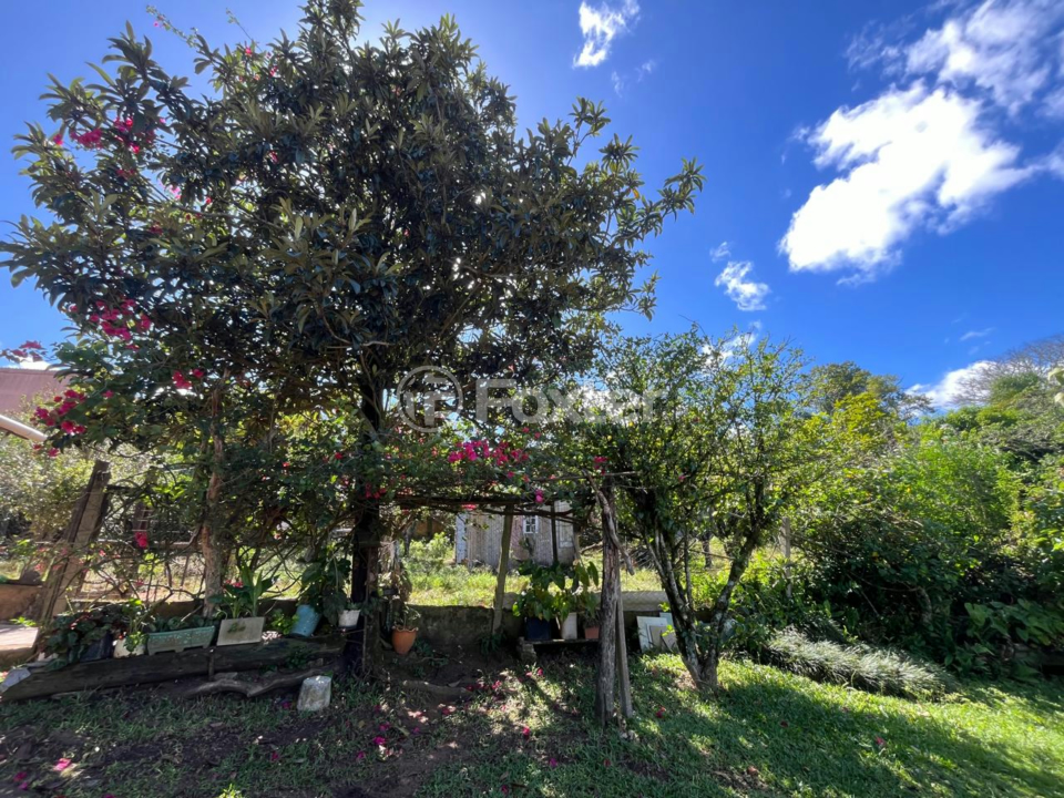 Sítio à venda, 2305m² - Foto 2