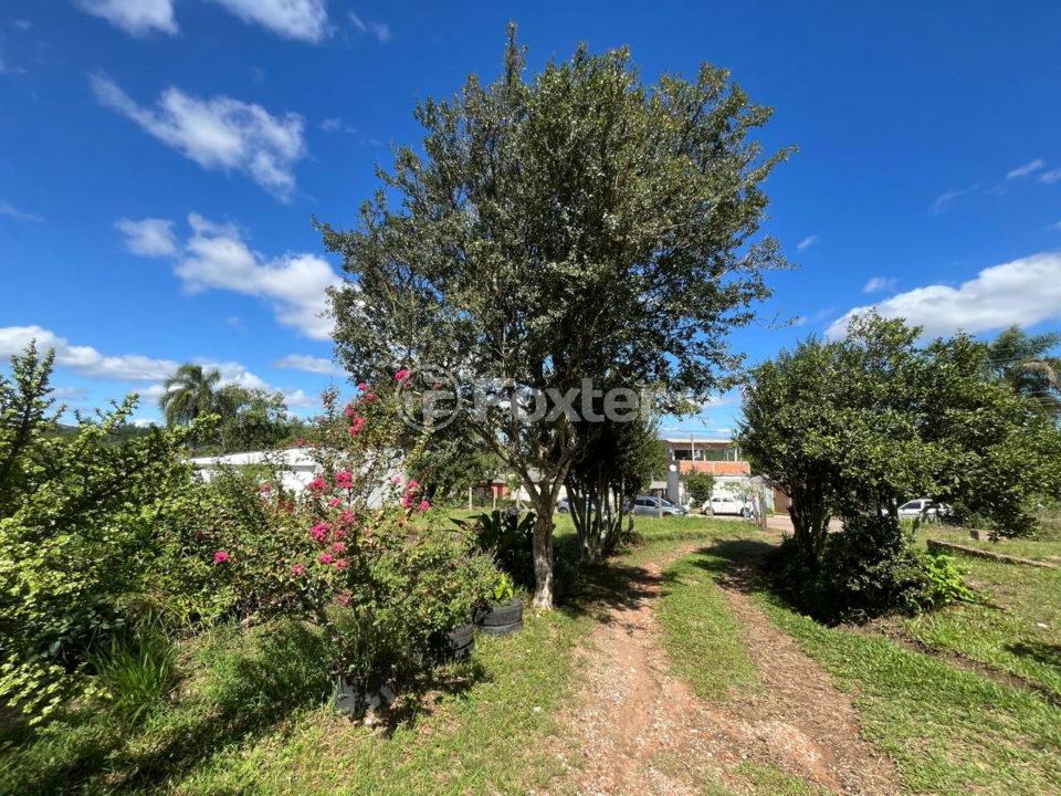 Sítio à venda, 2305m² - Foto 4