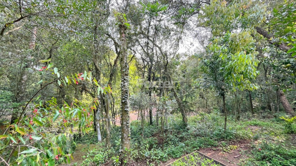 Casa à venda com 6 quartos, 454m² - Foto 47