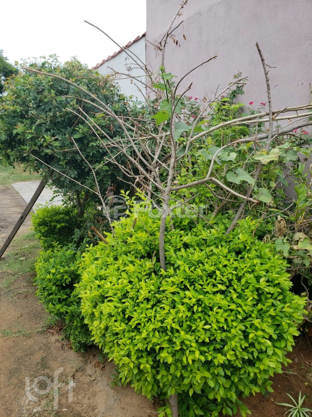 Casa à venda com 3 quartos, 168m² - Foto 15