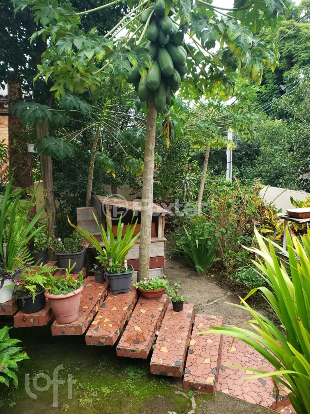 Casa à venda com 3 quartos, 168m² - Foto 11