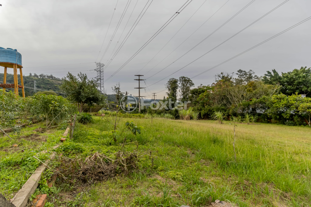 Sítio à venda com 6 quartos, 500m² - Foto 53