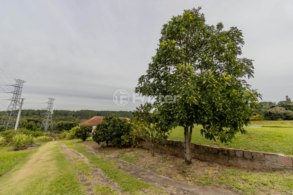 Sítio à venda com 6 quartos, 500m² - Foto 56