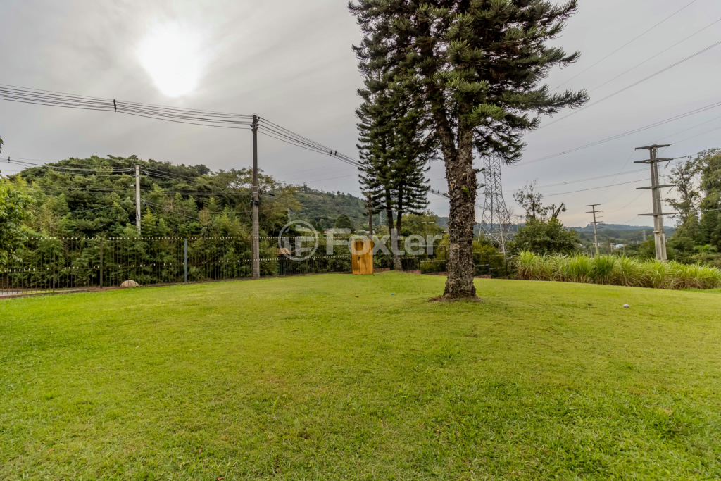 Sítio à venda com 6 quartos, 500m² - Foto 74