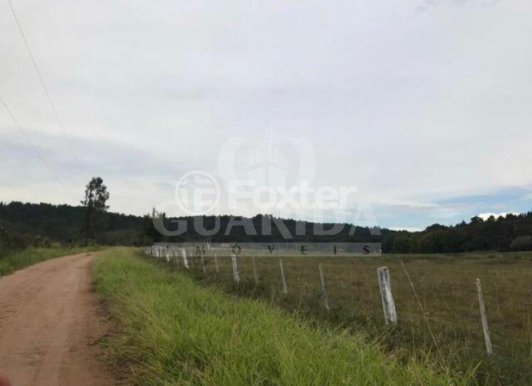 Fazenda à venda com 3 quartos, 45000m² - Foto 4