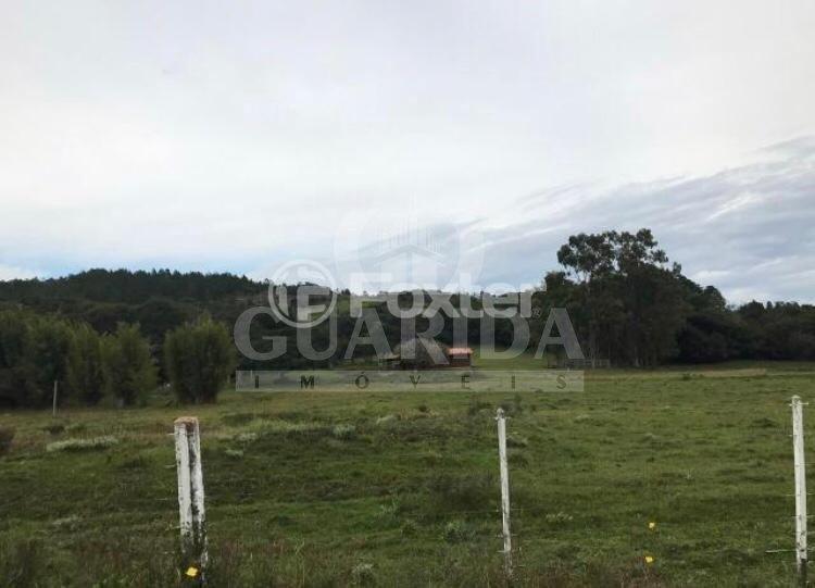 Fazenda à venda com 3 quartos, 45000m² - Foto 7