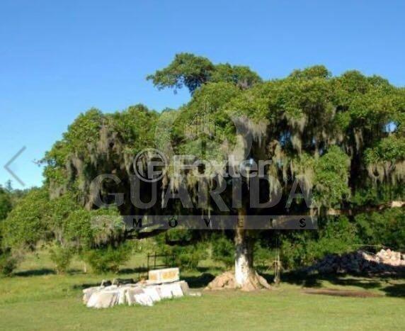 Fazenda à venda com 3 quartos, 45000m² - Foto 3