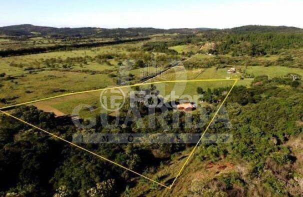 Fazenda à venda com 3 quartos, 45000m² - Foto 12