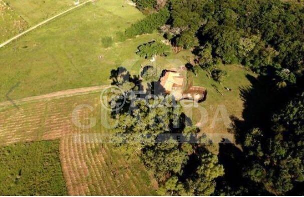 Fazenda à venda com 3 quartos, 45000m² - Foto 16