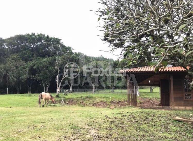 Fazenda à venda com 3 quartos, 45000m² - Foto 17