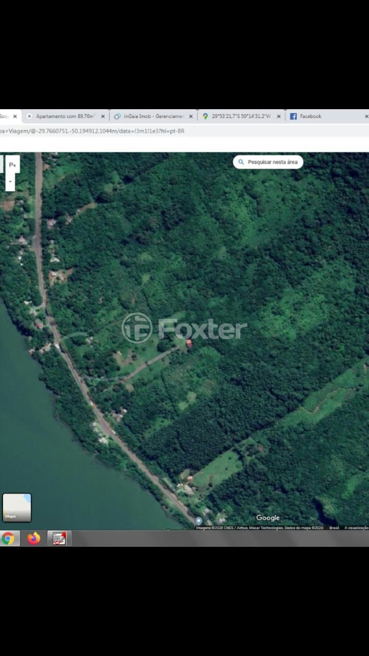 Fazenda à venda com 3 quartos, 20000m² - Foto 6