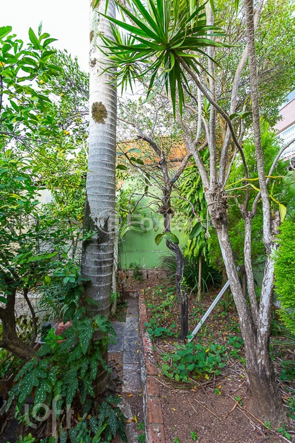 Casa à venda com 3 quartos, 145m² - Foto 24