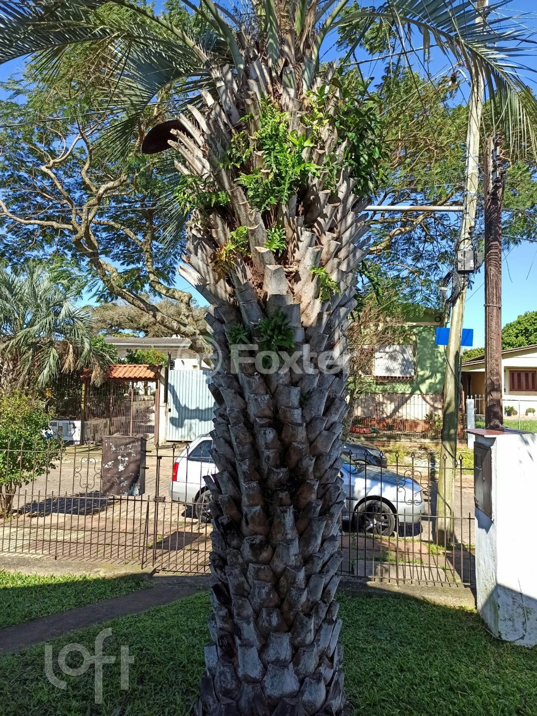 Casa à venda com 3 quartos, 65m² - Foto 7