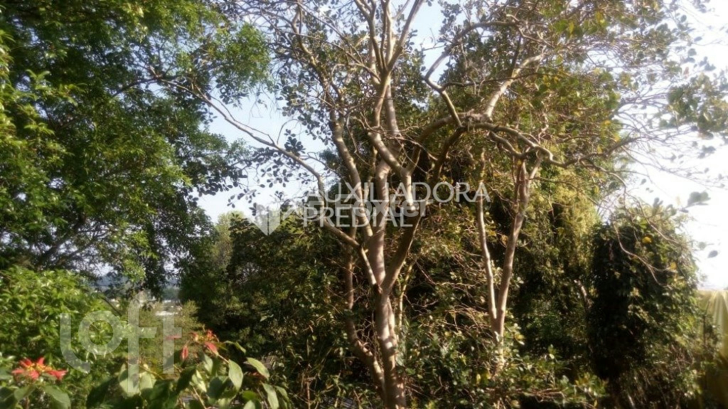 Casa à venda com 2 quartos, 180m² - Foto 26