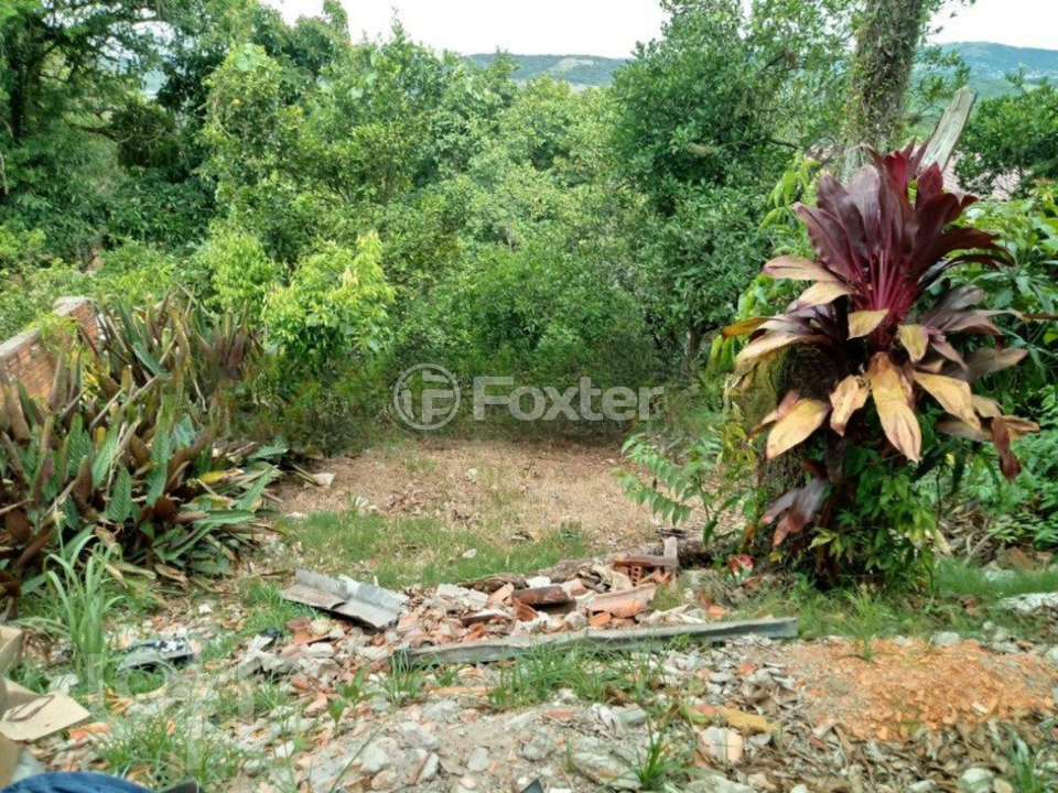 Casa à venda com 2 quartos, 250m² - Foto 4