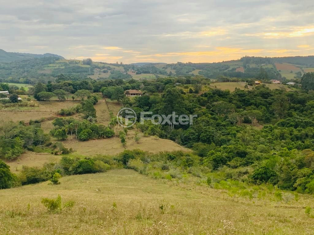 Sítio à venda com 3 quartos, 30000m² - Foto 15