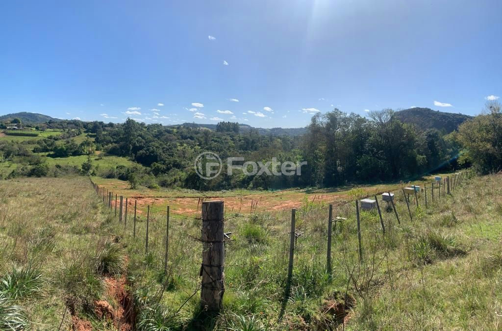 Sítio à venda com 3 quartos, 30000m² - Foto 19