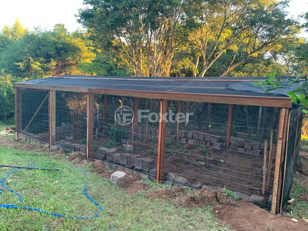 Sítio à venda com 3 quartos, 30000m² - Foto 29