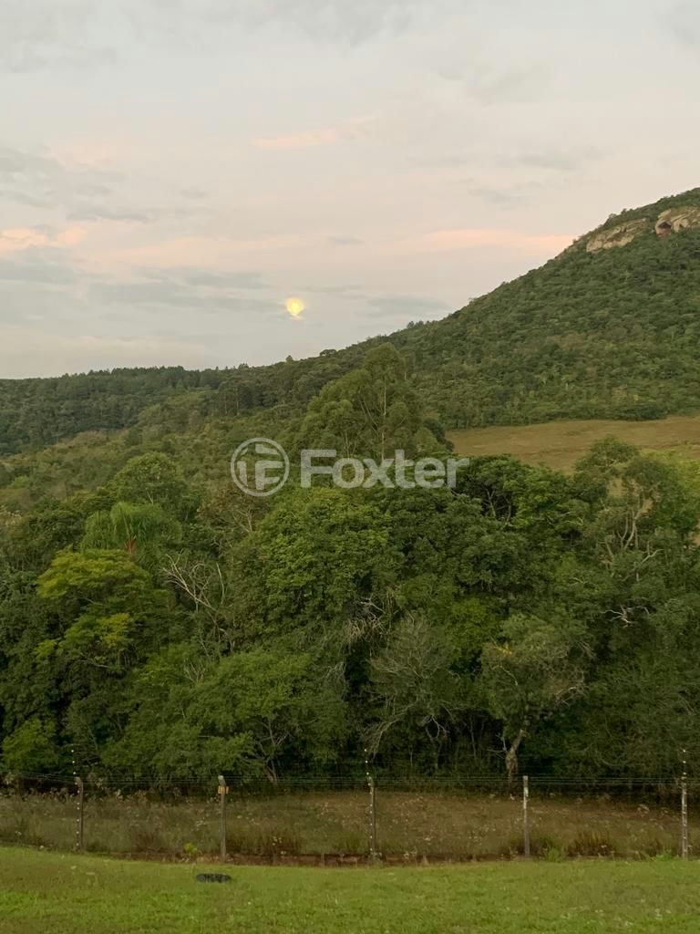 Sítio à venda com 3 quartos, 30000m² - Foto 31