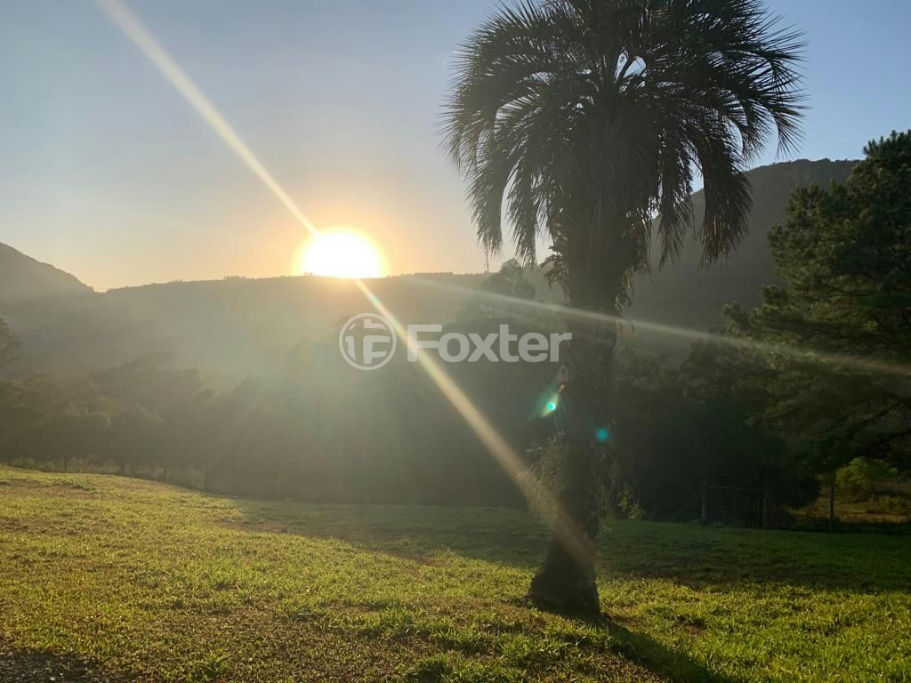 Sítio à venda com 3 quartos, 30000m² - Foto 25