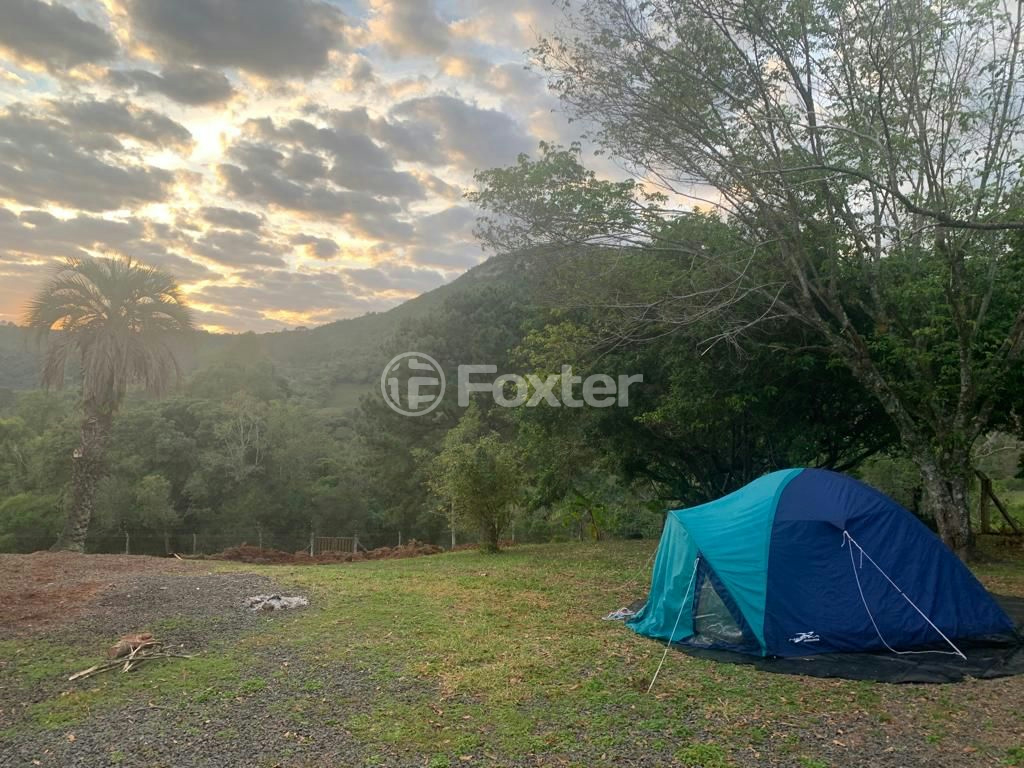Sítio à venda com 3 quartos, 30000m² - Foto 34
