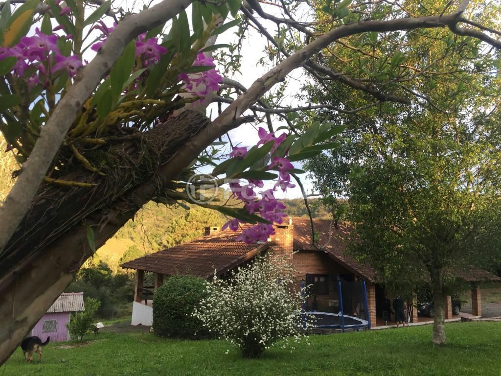 Sítio à venda com 3 quartos, 30000m² - Foto 28