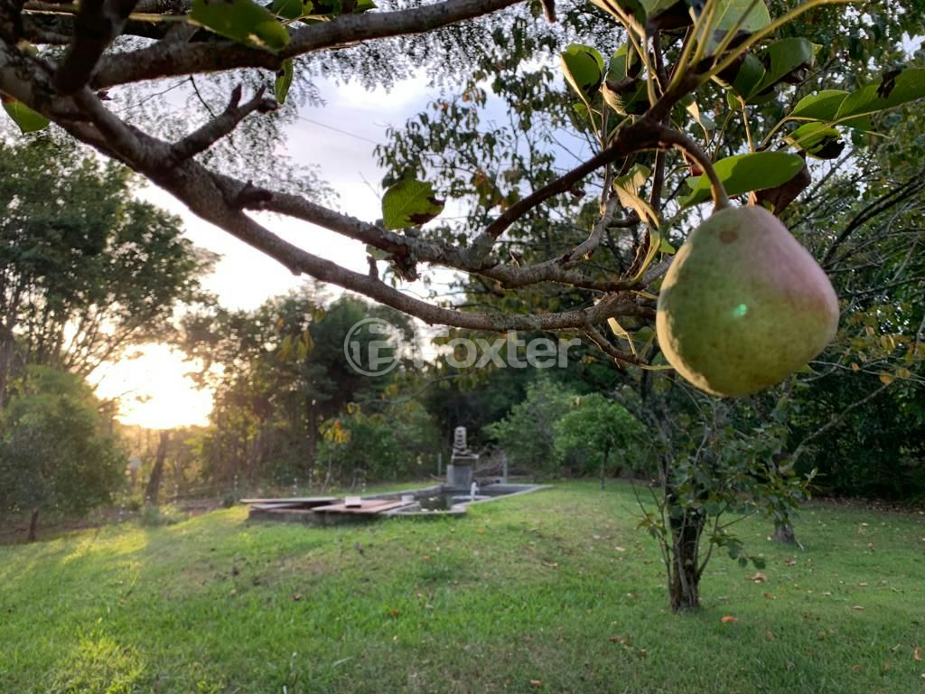 Sítio à venda com 3 quartos, 30000m² - Foto 27