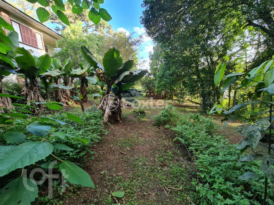 Casa à venda com 6 quartos, 329m² - Foto 28