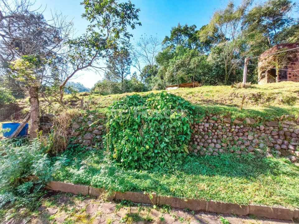 Chácara à venda com 4 quartos, 8000m² - Foto 34