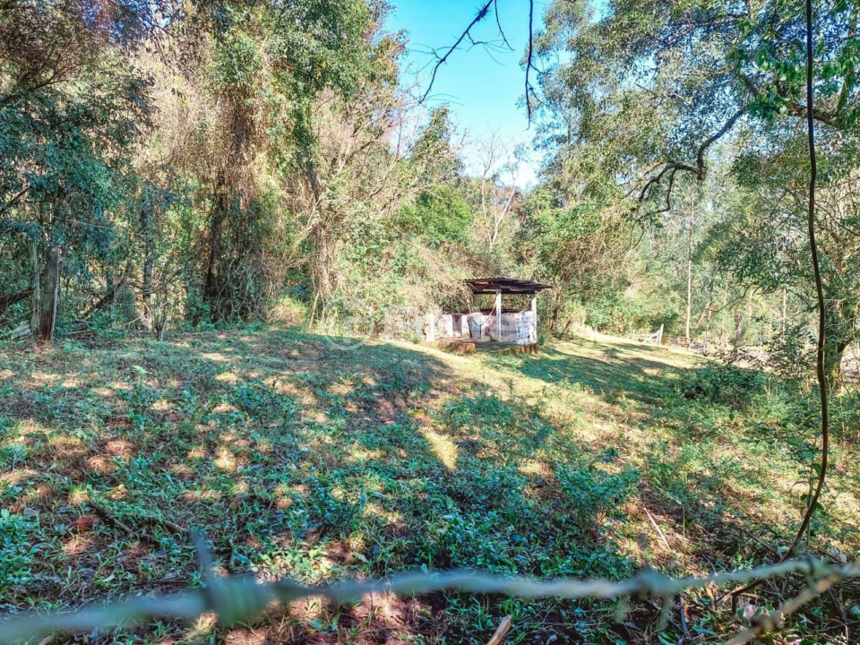 Chácara à venda com 4 quartos, 8000m² - Foto 40