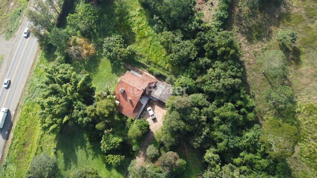 Chácara à venda com 4 quartos, 8000m² - Foto 2