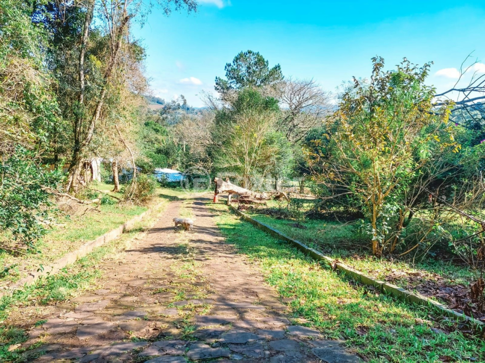 Chácara à venda com 4 quartos, 8000m² - Foto 36