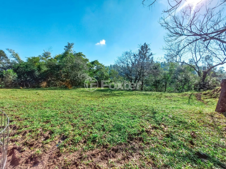 Chácara à venda com 4 quartos, 8000m² - Foto 33
