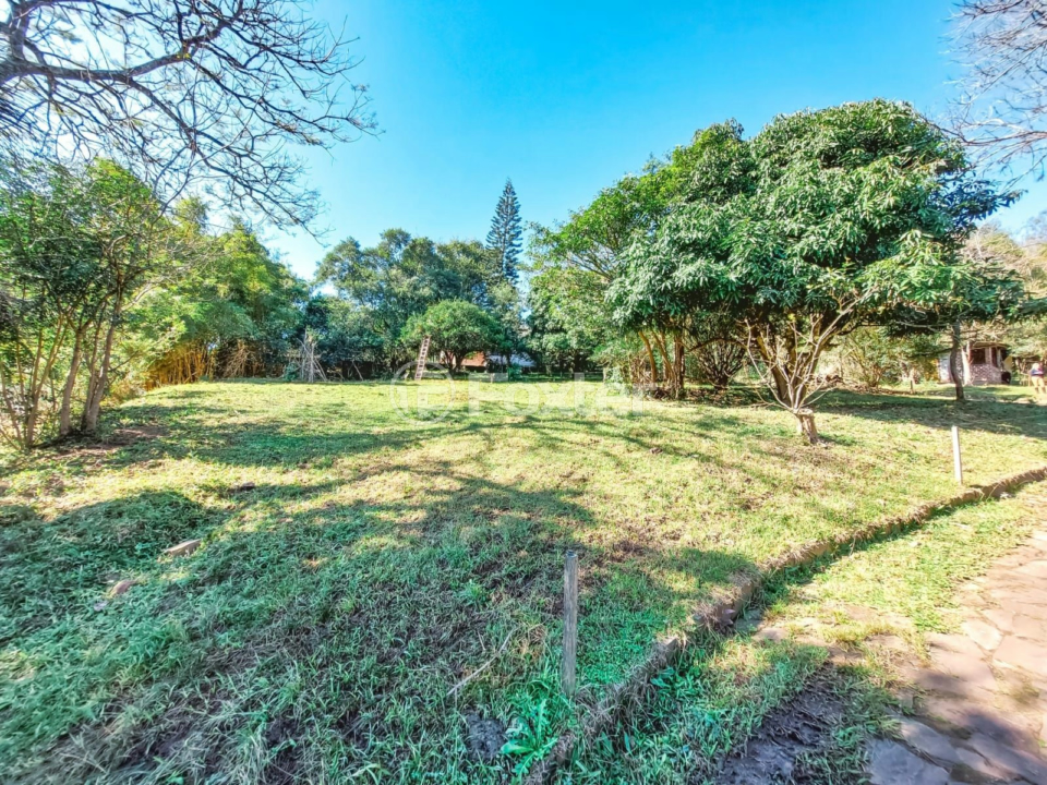 Chácara à venda com 4 quartos, 8000m² - Foto 37
