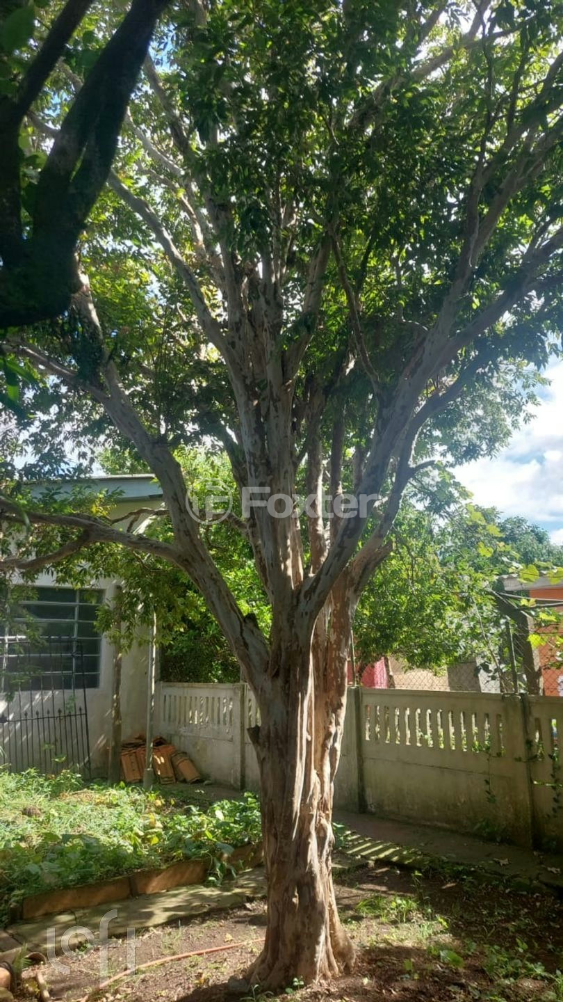 Casa à venda com 3 quartos, 150m² - Foto 11