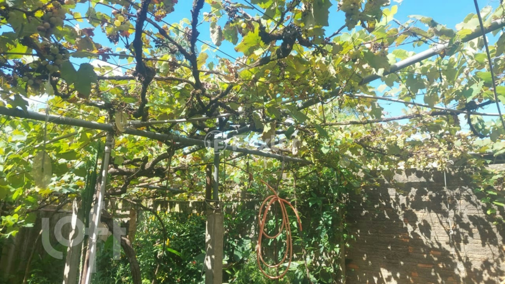 Casa à venda com 3 quartos, 150m² - Foto 7