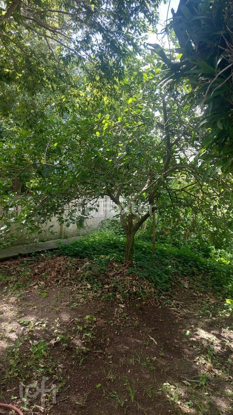 Casa à venda com 3 quartos, 150m² - Foto 10