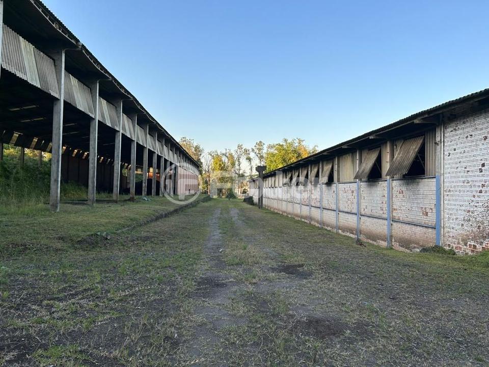 Depósito-Galpão-Armazém à venda, 18000m² - Foto 18
